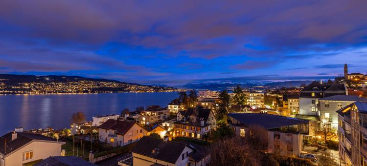 苏黎世湖畔 Sedartis 生活方式酒店(Lifestyle Hotel Sedartis Lake Zurich)图片