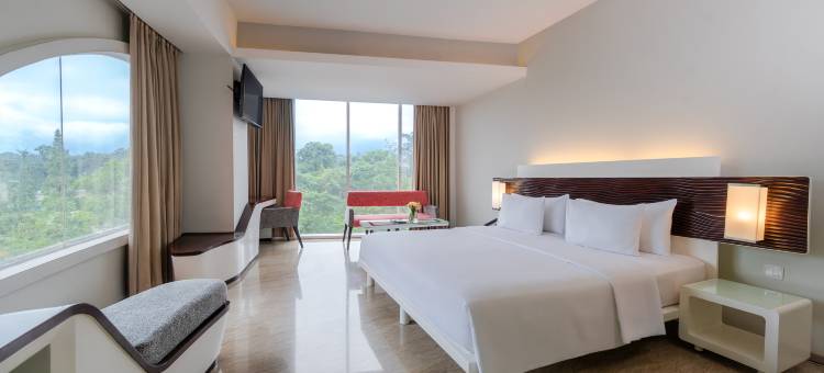 万隆森萨酒店(Sensa Hotel Bandung)图片