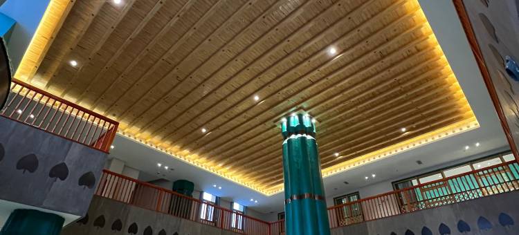 林芝四季德勒酒店图片