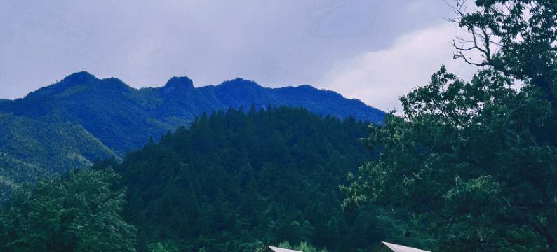 无奢山居野营民宿图片