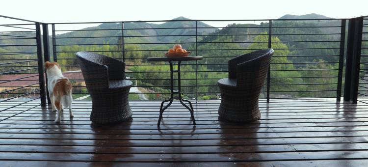 Home Soon·莫干山花木深霍比特小屋图片