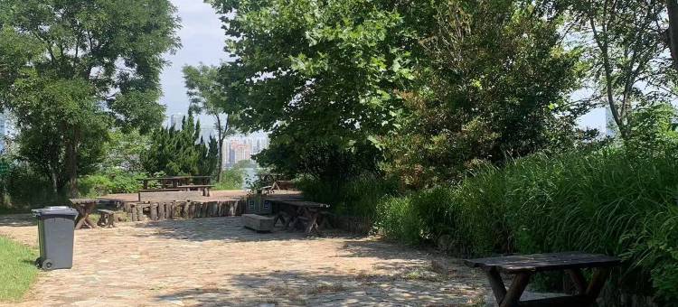 栀子花精品公寓(青岛太行山路地铁站石油大学店)图片