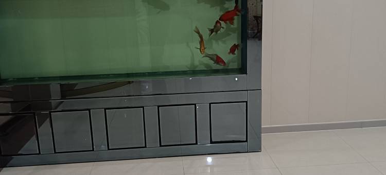 都市118优选酒店(即墨古城宝龙广场店)图片