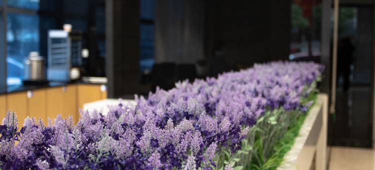 麗枫酒店(醴陵陶瓷烟花市场火车站店)图片