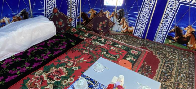 赛里木湖毡房姑娘牧家乐图片