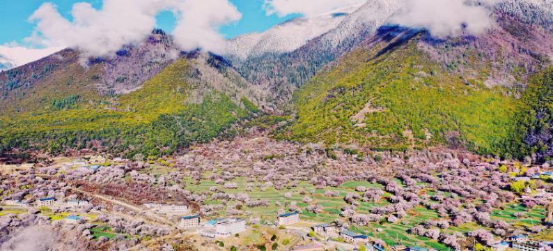 述野·隐世山居(波密嘎朗王宫店)图片