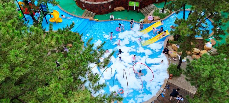 东海森林温泉度假酒店图片