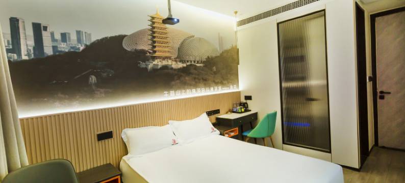 大隐晓宿•莱迪酒店(南京南站店)图片