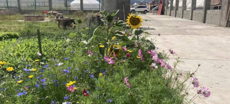 骏马驿站民宿图片