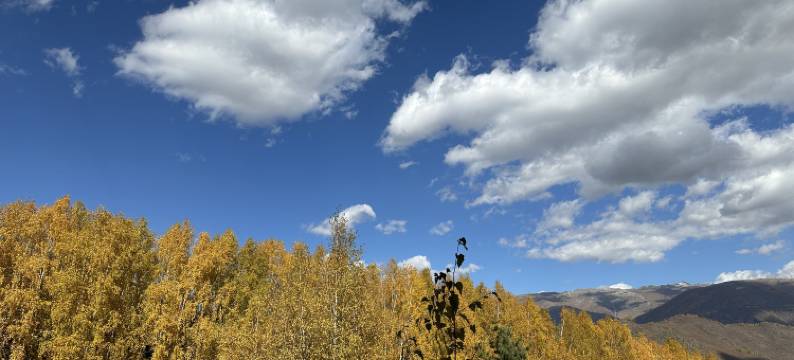 喀纳斯凯源假日酒店图片