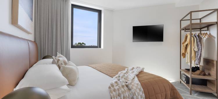 庞德山阳光(Punthill Sunshine)图片