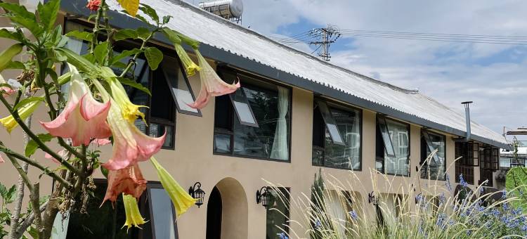 大理ANYUE·安悦艺宿(龙龛码头店)图片