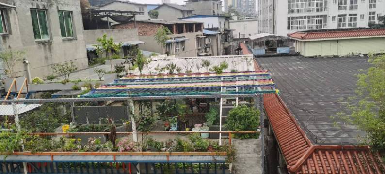 吉鑫顺酒店(乐山武警医院店)图片