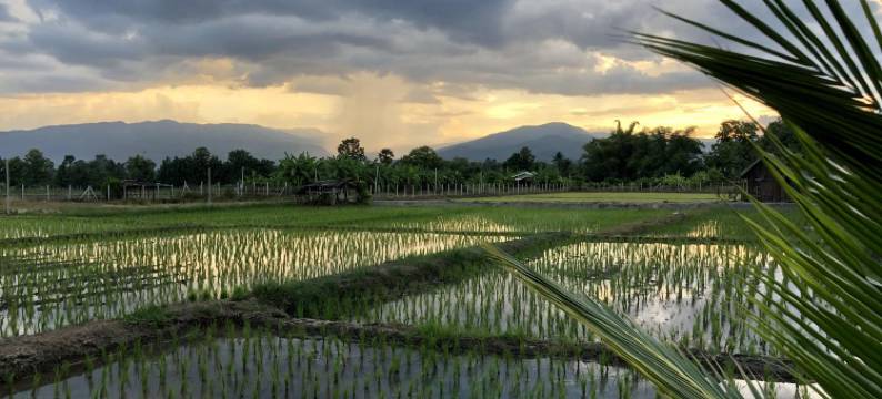 胡安坤考(hueankwankhao)图片
