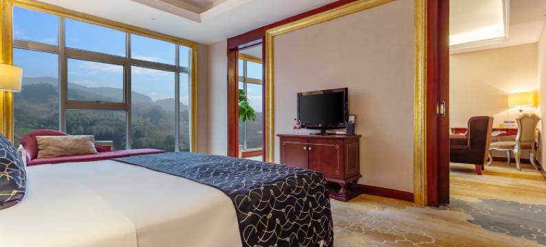 重庆典雅戴斯酒店(九公里轻轨站店)图片