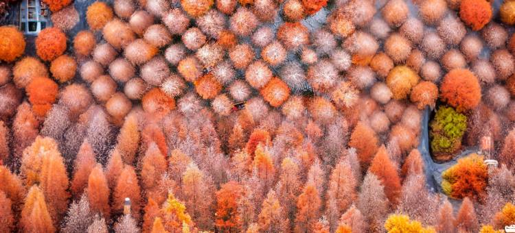 格林豪泰酒店(西宁湟光莫家街店)图片