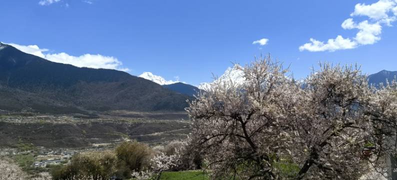 观峰居酒店(索松村店)图片