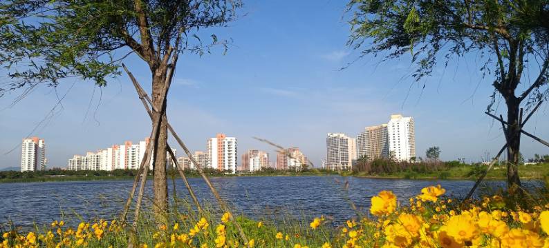 香海观海阁民宿图片
