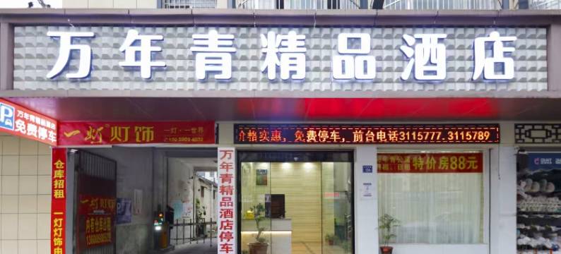 万年青精品酒店(龙岩动车站店)图片