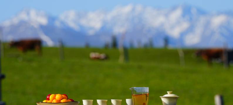 喀拉峻森禾营地图片