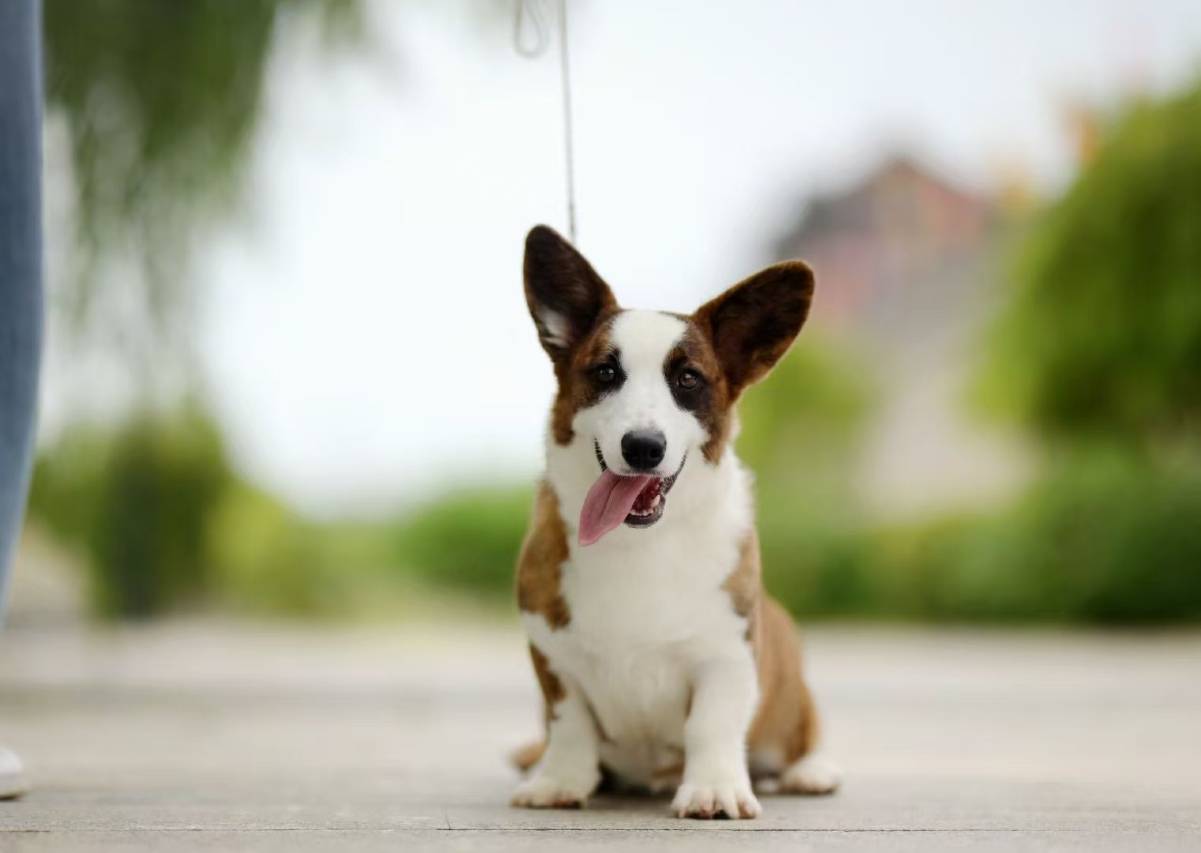 如家精选富氧酒店(市政府万达广场店)图片