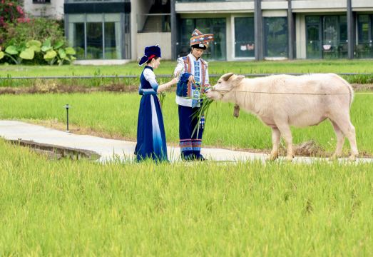 Mingshi Nali Hotel Hotel Overview