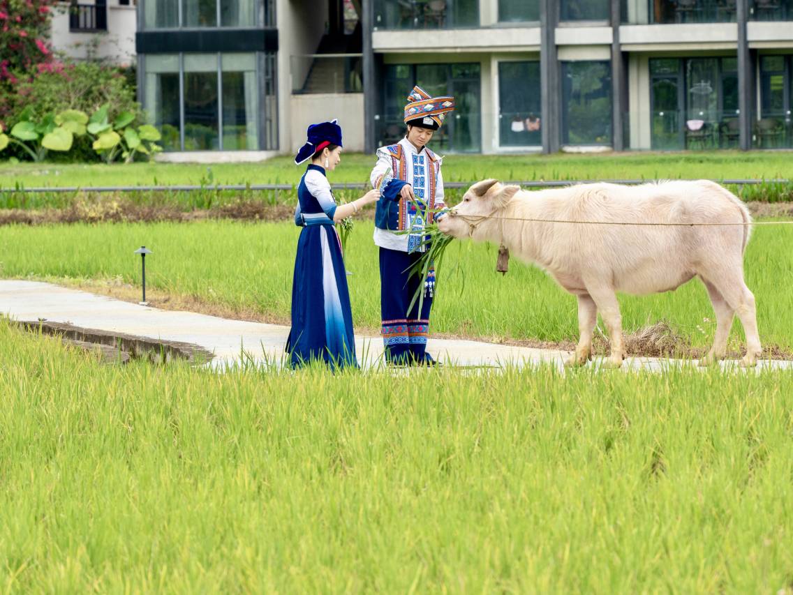 崇左大新明仕那里酒店图片