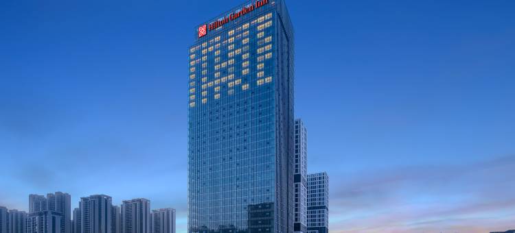 武汉光谷希尔顿花园酒店图片