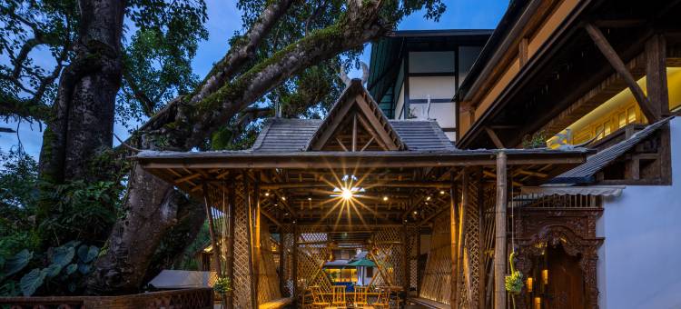 景迈山古茶林仙贡家院子观云海客栈图片