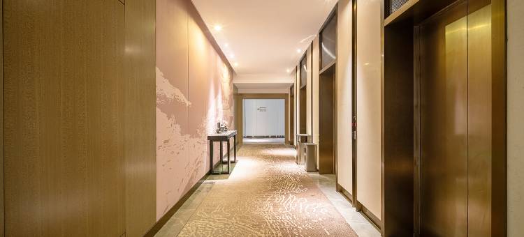 TOWO·上品国际酒店(世纪金源购物中心世纪城店)图片