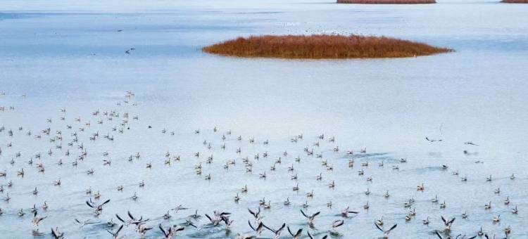 Shimmer·海悦澜智能艺术酒店(威宁草海风景区店)图片