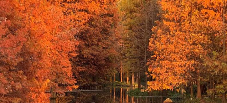 安屿静舍・Serene溪邻山伴观星度假野宿(皖南川藏线板桥店)图片