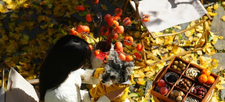 山间小住•Mountain︱花间漫野︱无边泳池隐奢美墅(韶山景区店)图片