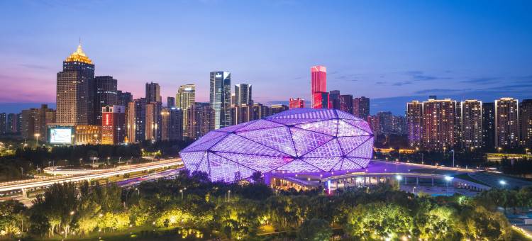 艺龙国际酒店(沈阳青年大街万象城店)图片