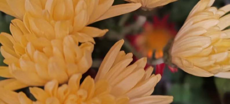 敦煌光明旅社图片