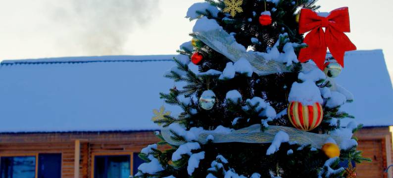 白哈巴野自在民宿图片