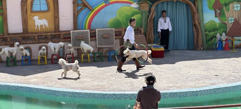 宿迁森迪部落树屋酒店图片