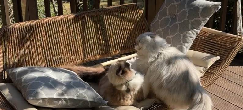 奢野·栖心谷度假山庄图片