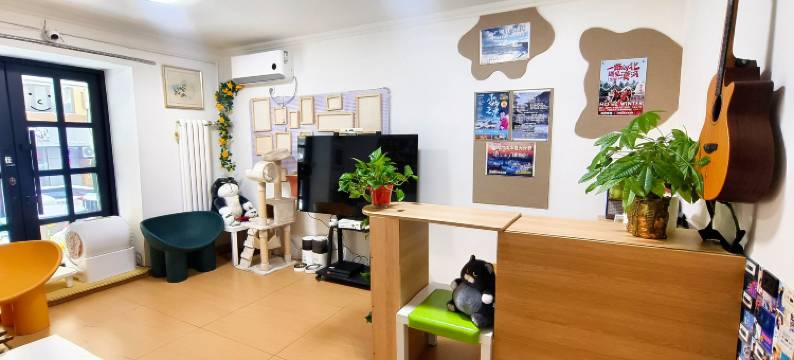 哈尔滨猫冬青年旅舍(中央大街店)图片