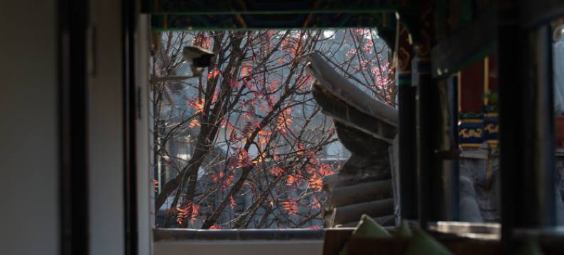 楚雄.观心舍·豁了院子(彝人古镇店)图片