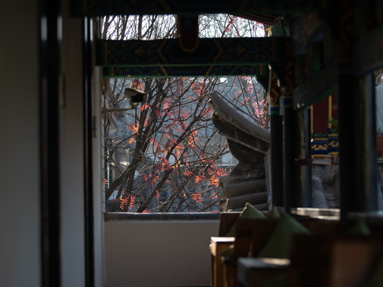 楚雄·豁了院子.观心舍