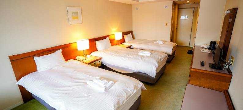 Trip7汤泽天空温泉酒店(Trip7 Yuzawa Sky Onsen Hotel)图片