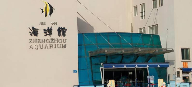 郑州金水花园路美仑酒店图片