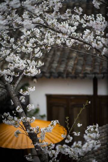 朱家角井亭民宿图片