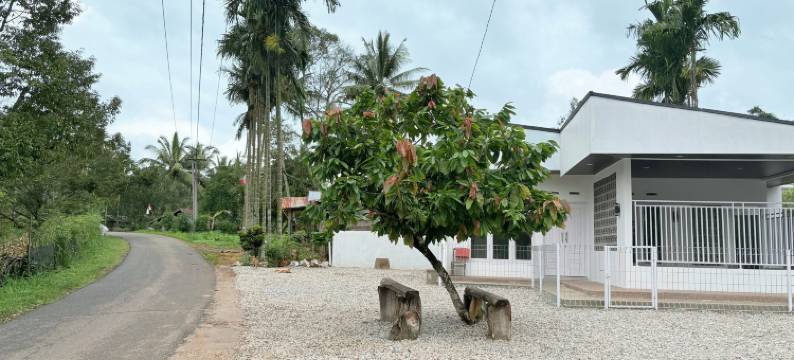 De Cabin Situjuah图片