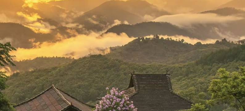 普洱梧悦瑾酒店(湿地公园店)图片