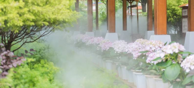 玉溪汇龙温泉文化庄园图片