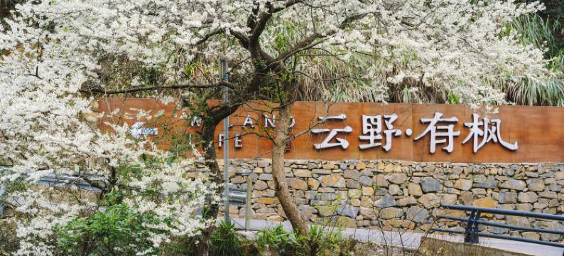 云野有枫·微度假村落民宿图片