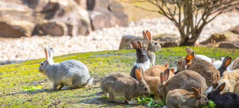 湖州南浔花园名都大酒店(南浔古镇店)图片