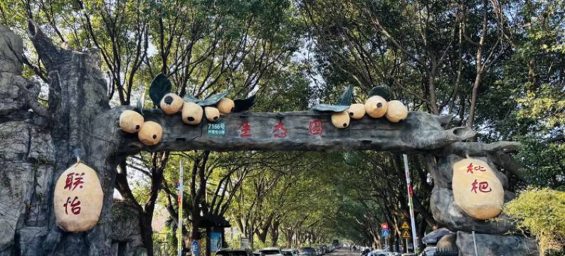 上海联怡枇杷生态园图片